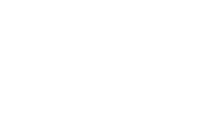 Bergmann Finanzen